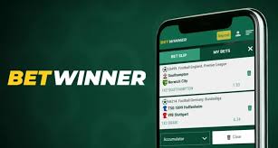 BetWinner Sportsbook A Comprehensive Guide to Online Betting